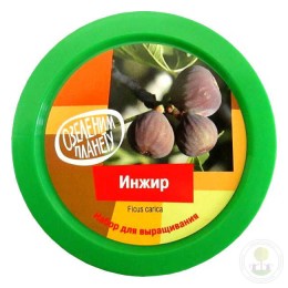 Набор "Вырасти, Дерево!" Инжир