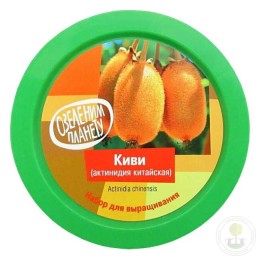 Набор "Вырасти, Дерево!" Киви