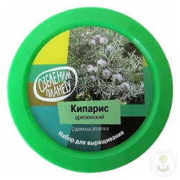 Набор "Вырасти, Дерево!" Кипарис аризонский