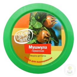 Набор "Вырасти, Дерево!" Мушмула