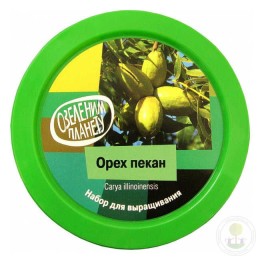 Набор "Вырасти, Дерево!" Орех пекан