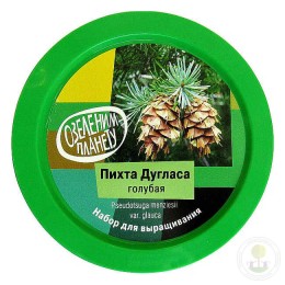 Набор "Вырасти, Дерево!" Пихта Дугласа голубая