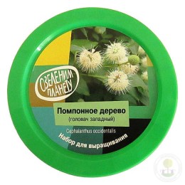 Набор "Вырасти, Дерево!" Помпонное дерево