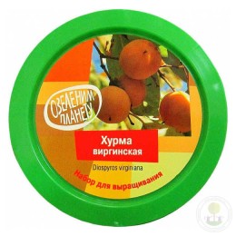 Набор "Вырасти, Дерево!" Хурма виргинская