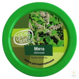 Набор "Вырасти, Дерево!" Мята яблочная