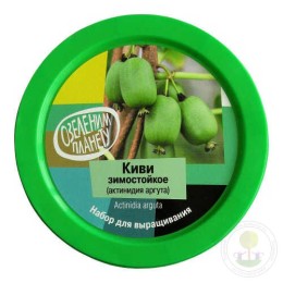 Набор "Вырасти, Дерево!" Киви зимостойкое