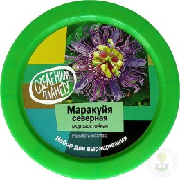 Набор "Вырасти, Дерево!" Маракуйя северная