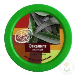 Набор "Вырасти, Дерево!" Эвкалипт лимонный