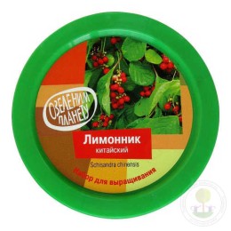 Набор "Вырасти, Дерево!" Лимонник китайский