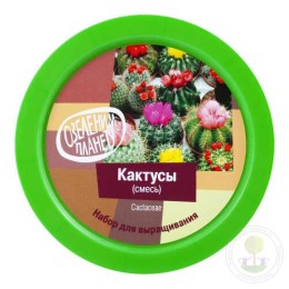 Набор "Вырасти, Дерево!" Кактусы