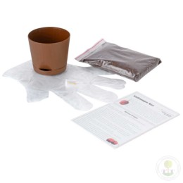 Набор "Plant Republic" Перец острый Вайт Нага