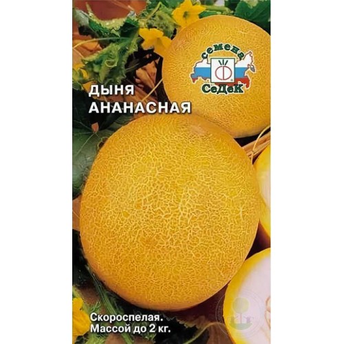 Дыня Ананасная