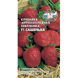 Земляника Сашенька F1 крупноплодная