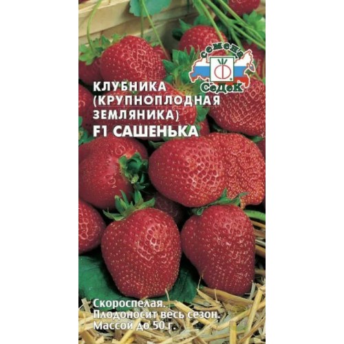 Земляника Сашенька F1 крупноплодная