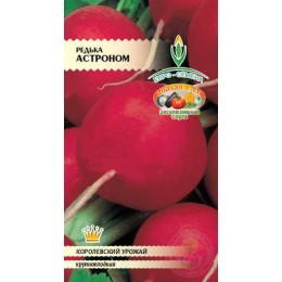 Редька Астроном