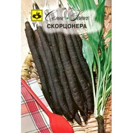 Скорцонера Черный корень (Семко)