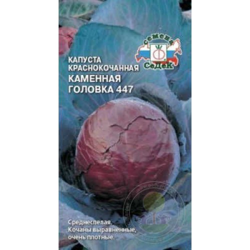 Капуста краснокочанная Каменная головка 447