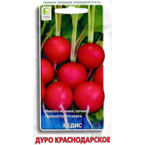 Редис Дуро Краснодарское (Поиск)