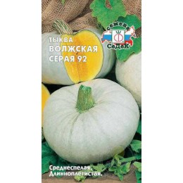 Тыква Волжская серая 92