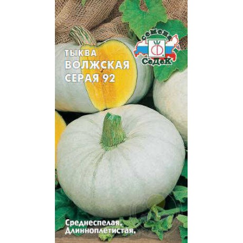 Тыква Волжская серая 92