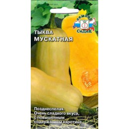 Тыква Мускатная