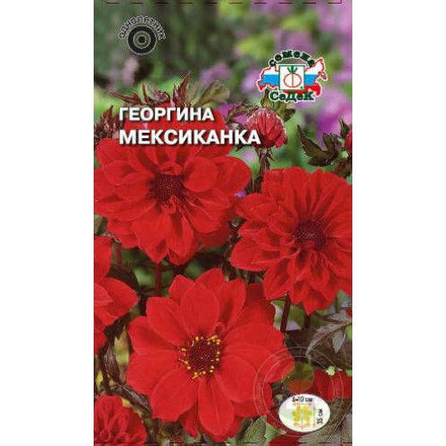 Георгина Мексиканка