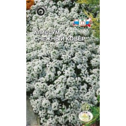 Алиссум Снежный ковер (СеДеК)