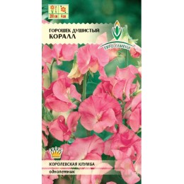Душистый горошек Коралл