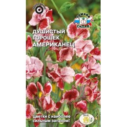 Душистый горошек Американец