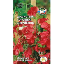 Душистый горошек Джузеппо