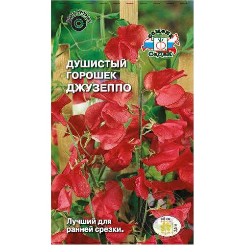 Душистый горошек Джузеппо