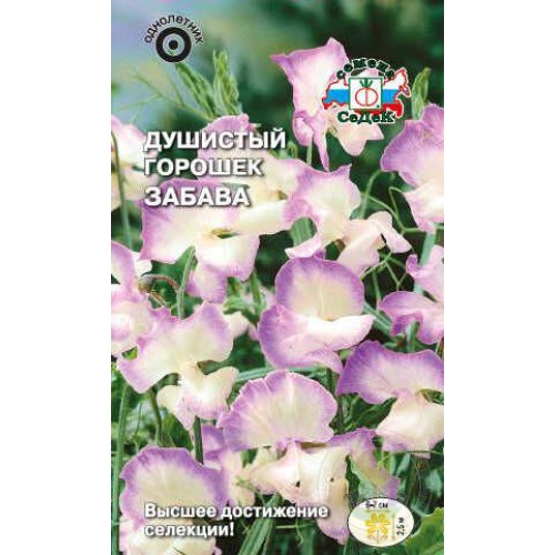 Душистый горошек Забава