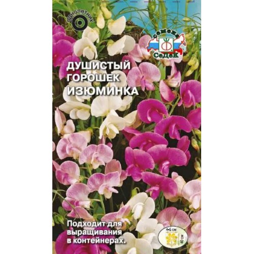 Душистый горошек Изюминка смесь