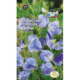 Душистый горошек Капри