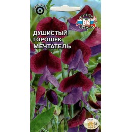 Душистый горошек Мечтатель