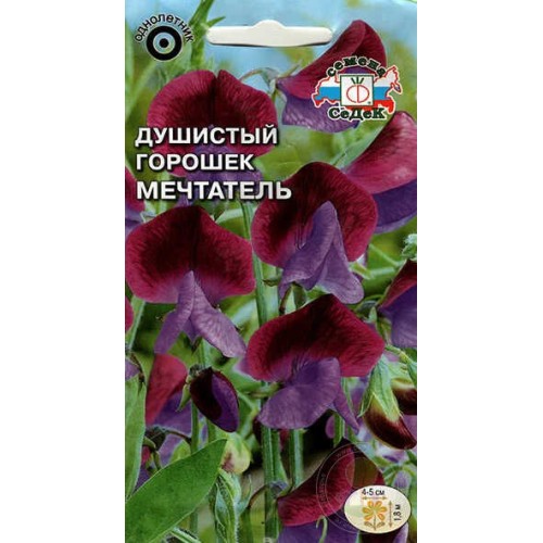 Душистый горошек Мечтатель