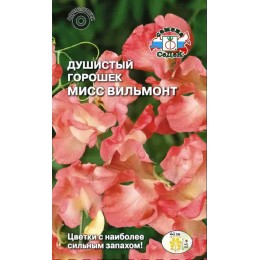 Душистый горошек Мисс Вильмонт