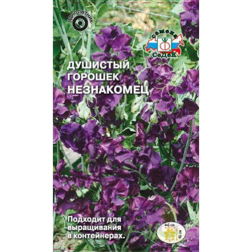 Душистый горошек Незнакомец