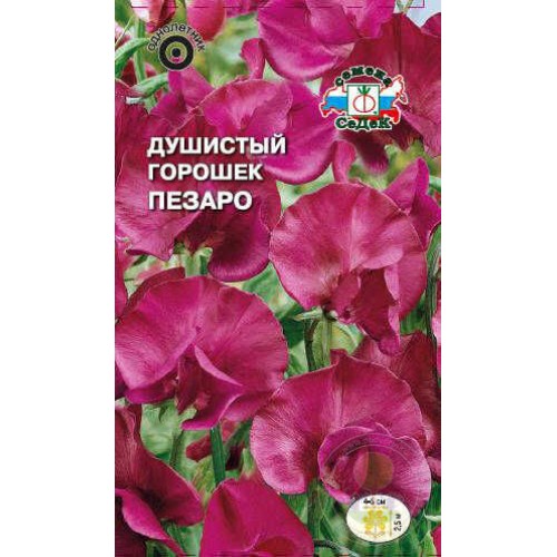 Душистый горошек Пезаро