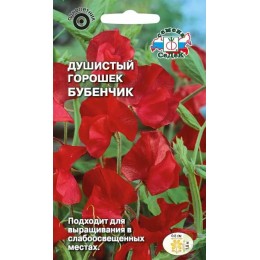 Душистый горошек Бубенчик