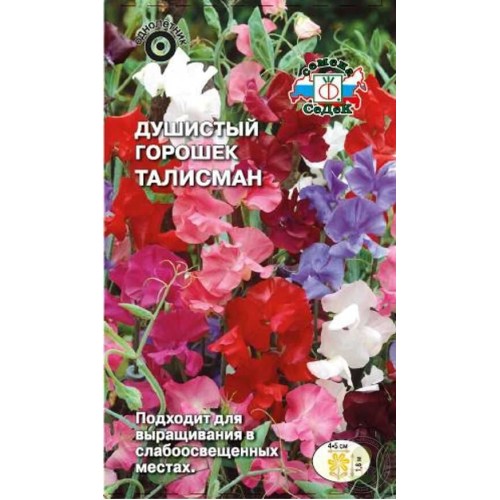 Душистый горошек Талисман