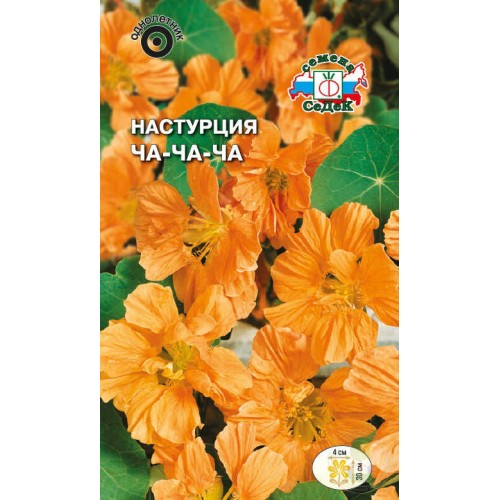 Настурция Ча-Ча-Ча