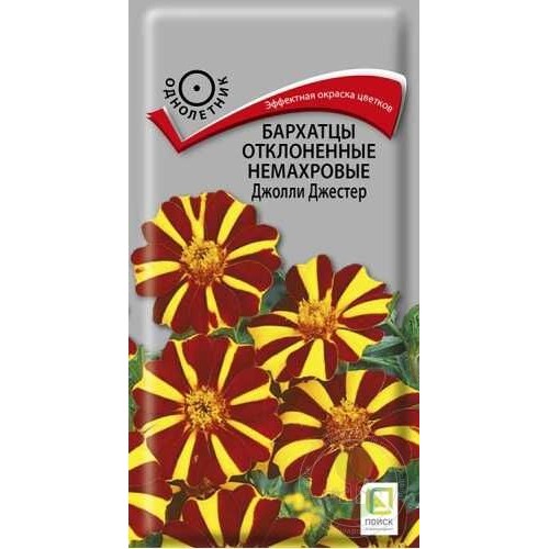 Бархатцы Джолли Джестер