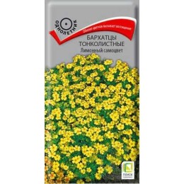 Бархатцы Лимонный самоцвет