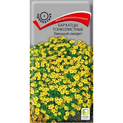 Бархатцы Лимонный самоцвет