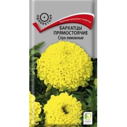 Бархатцы Спун Лимонные