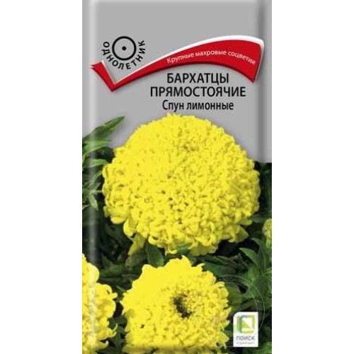 Бархатцы Спун Лимонные