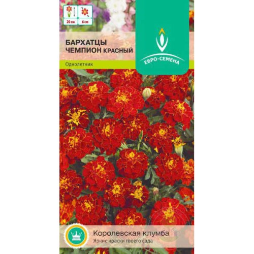 Бархатцы Чемпион красный