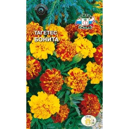 Тагетес Бонита низкорослый