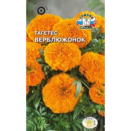 Тагетес Верблюжонок низкорослый